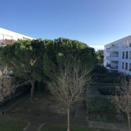  ACTIVA : Apartment | MONTPELLIER (34000) | 21 m2 | 534 € 