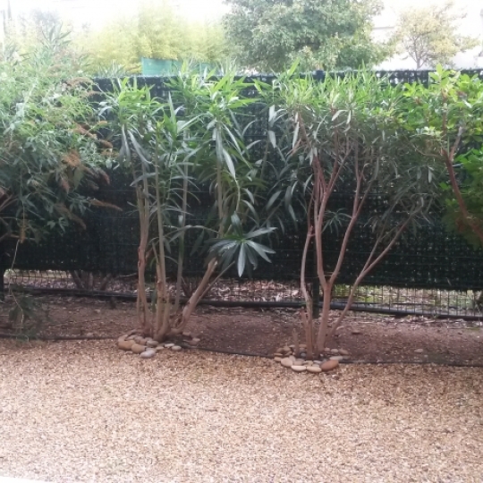 ACTIVA : Appartement | LE CRES (34920) | 32 m2 | 664 € 