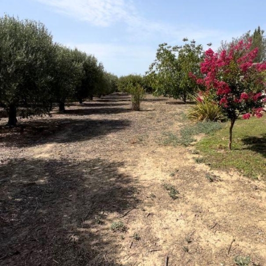  ACTIVA : Domaines / Propriétés | SAINT-LAURENT-D'AIGOUZE (30220) | 160 m2 | 886 000 € 