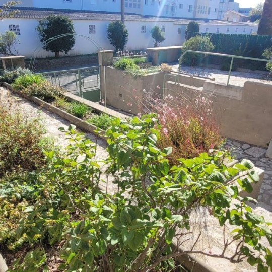  ACTIVA : Maison / Villa | CASTELNAU-LE-LEZ (34170) | 66 m2 | 307 000 € 
