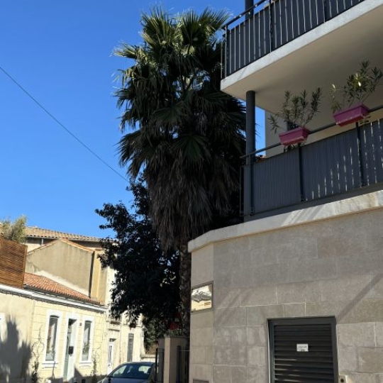  ACTIVA : Appartement | MONTPELLIER (34000) | 38 m2 | 176 550 € 