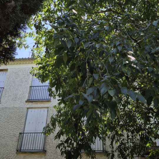  ACTIVA : House | LE CRES (34920) | 91 m2 | 290 000 € 