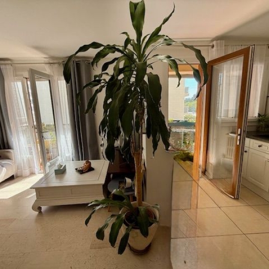 ACTIVA : Apartment | MONTPELLIER (34000) | 58 m2 | 182 000 € 