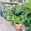  ACTIVA : Maison / Villa | PALAVAS-LES-FLOTS (34250) | 70 m2 | 440 000 € 