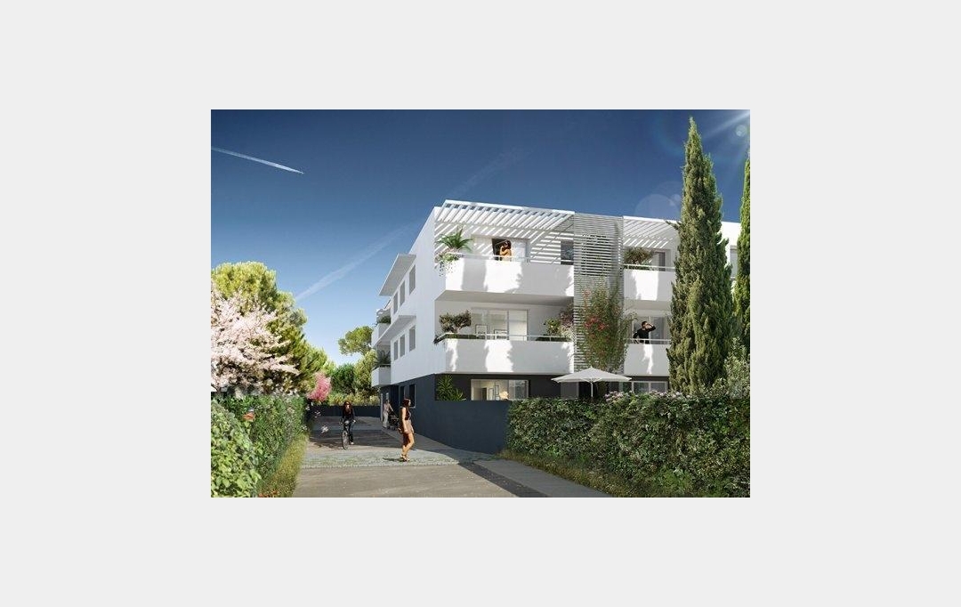 ACTIVA : Appartement | MONTPELLIER (34000) | 25 m2 | 520 € 