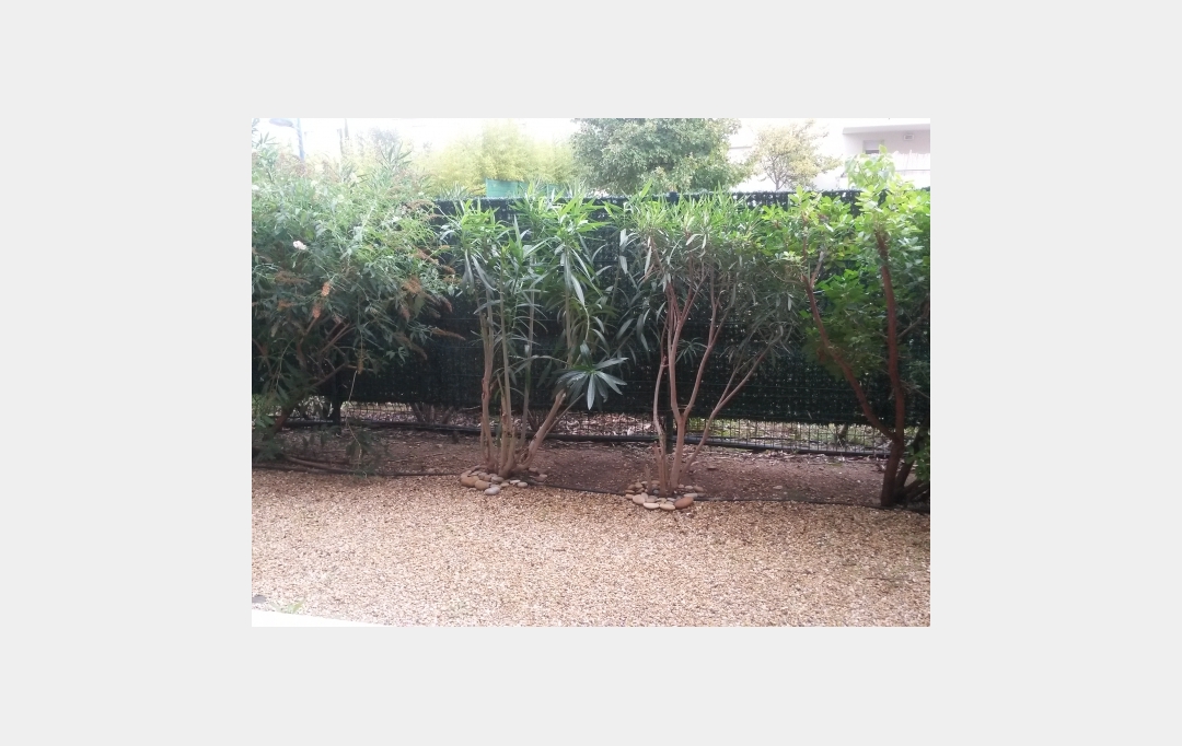 ACTIVA : Appartement | LE CRES (34920) | 32 m2 | 664 € 