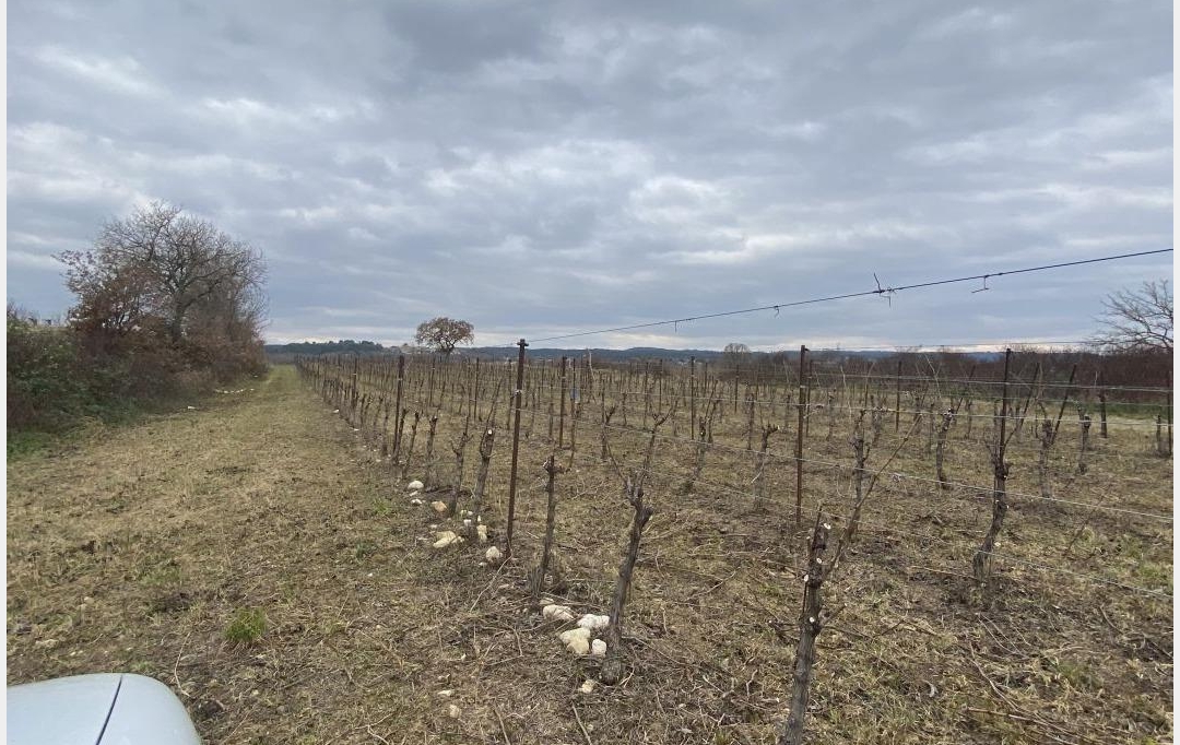 ACTIVA : Terrain | SAINT-BAUZELY (30730) | 0 m2 | 183 980 € 