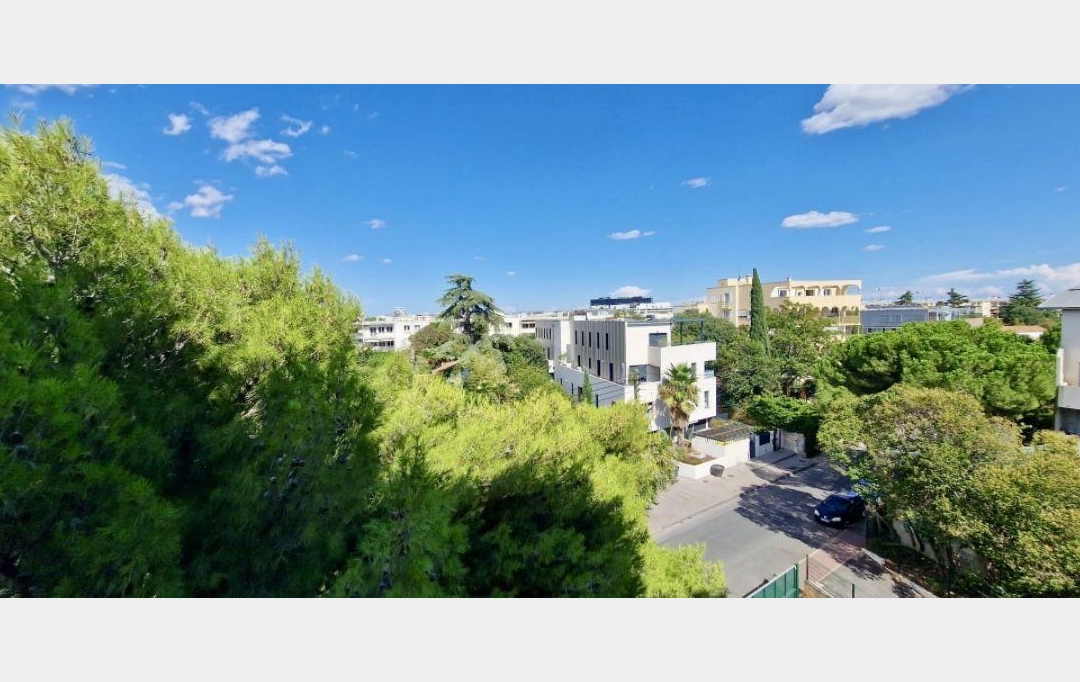 ACTIVA : Appartement | MONTPELLIER (34000) | 62 m2 | 163 000 € 