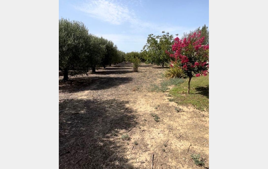 ACTIVA : Domaines / Propriétés | SAINT-LAURENT-D'AIGOUZE (30220) | 160 m2 | 886 000 € 
