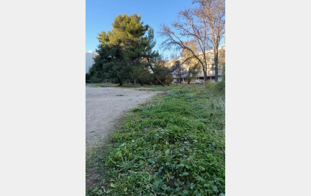 ACTIVA : Appartement | MONTPELLIER (34080) | 31 m2 | 92 000 € 