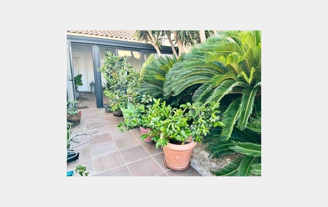 ACTIVA : Maison / Villa | PALAVAS-LES-FLOTS (34250) | 70 m2 | 440 000 € 