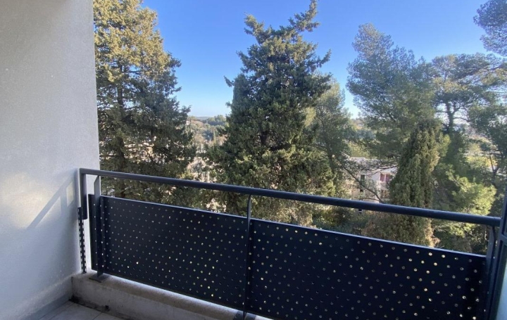 Appartement P2 MONTPELLIER 45 m2 740 € Appartement P2 MONTPELLIER 45 m2 740 €