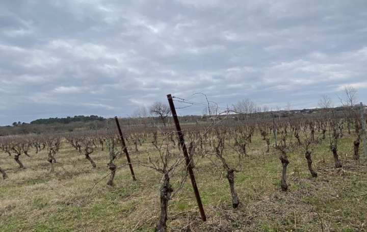  ACTIVA Terrain | SAINT-BAUZELY (30730) | 0 m2 | 183 980 € 